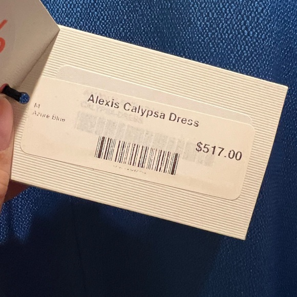 NWT Alexis Calypsa Dress - Picture 5 of 6